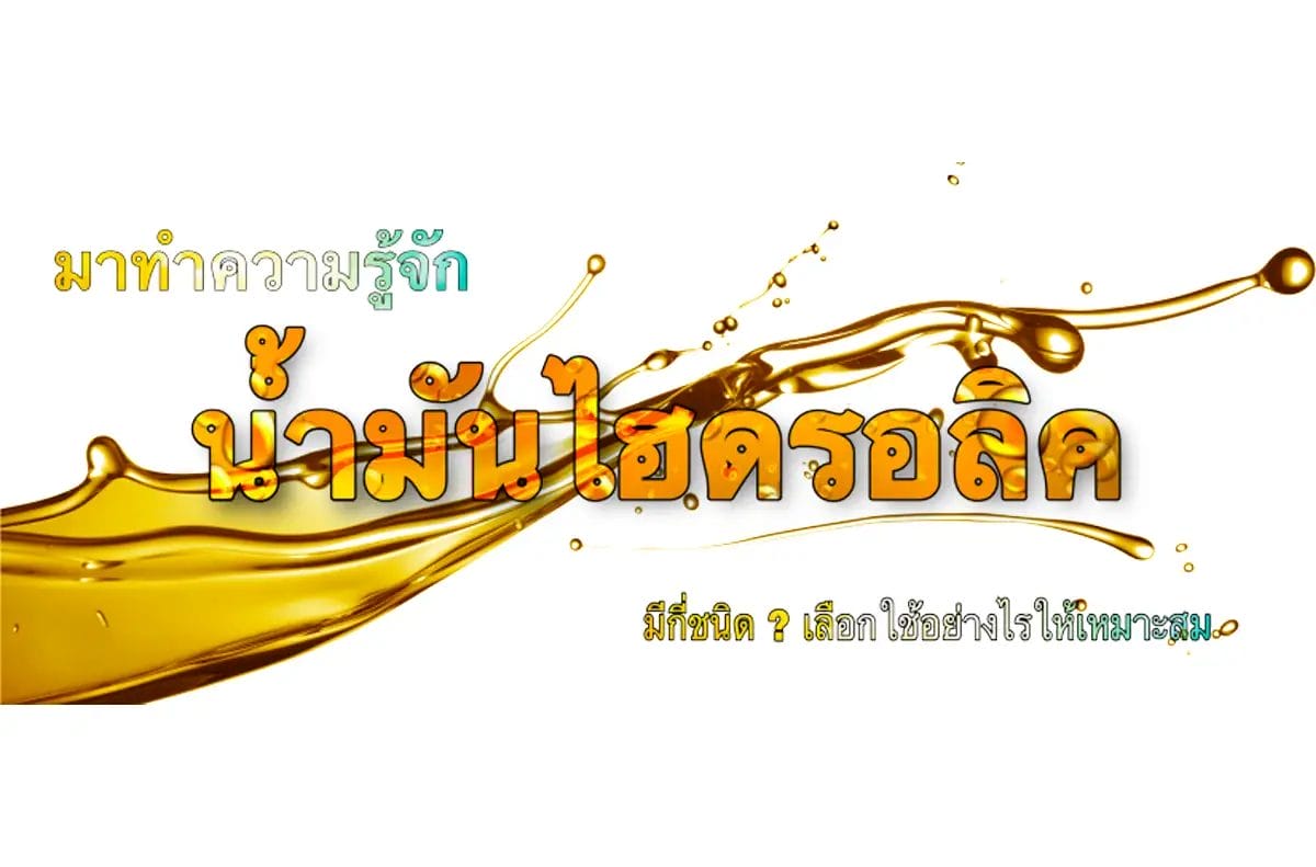 หน้าแรก 64 หน้าแรก 63